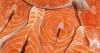 Opinion: Let’s have an honest conversation about salmon farming in Alaska