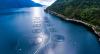 Norway salmon spot prices lift again, Scottish follow, Chilean flat