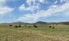 Join The Wichita Mountains Wildlife Refuge National Cleanup