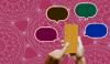 Should kids use social media? Global opinion has shifted, new poll finds