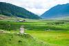 Bhutan’s Phobjikha Valley: Where Rare Black-Necked Cranes Find Refuge