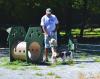 Recycling has gone to the dogs