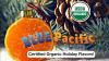 Capol acquires Blue Pacific Flavors to accelerate global innovation in food ingredients