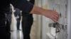 High Court majority rules: Israel Prison Service fails to provide adequate nutrition to prisoners
