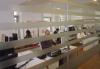 In Albania, People Work an Average of 41 Hours per Week, Compared to 36 Hours in the EU