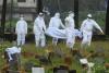 Nigeria confirms no Ebola cases, issues advisory as outbreak in DR Congo claims 15 lives 
