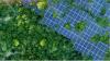 Shocking Report: Italy May Need an Extra Decade to Catch Up on Green Transition