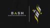 Bash House Resolves One of the Rarest Technical Issues on Meta Platforms for Kuwait’s Blackened