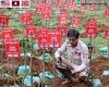 Norwegian People’s Aid finds nearly 500 unexploded bombs in Laos coffee plantation