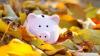 Which Australian banks will benefit the most from rising interest rates?