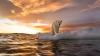 Satellites Reveal Global Sea Levels Are Rising Exactly as Scientists Predicted in the 1990s