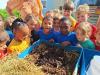 Schools earn environmental Green Flag recognition