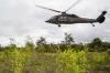 Colombia Moves to Revive Aerial Eradication of Coca Crops