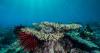 5 ways the ocean keeps our climate in check