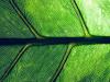 Growth, growth, growth: economic resilience means valuing nature, people and society