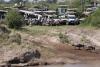 How The Serengeti Safari Scandal Exposes Deeper Issues In Africa's Wildlife Tourism