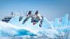 These cruises to Antarctica come with lots of luxury perks