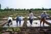 From Farm to Foreign Shores: How Indian FPOs Are Leading the Agri-Export Surge