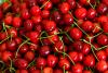 Scientists Reveal Eating Cherries in THIS Way Can Help Prevent Major Illness Affecting 6.7m Americans