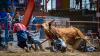 When is the Angola Prison Rodeo this year? What to know about the event