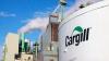 Cargill halts cocoa grinding in Ivory Coast amid worsening bean quality crisis 