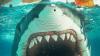 Teaser Trailer for JAWS GOES TO THE BAHAMAS - A Deep Dive into the Making of JAWS: THE REVENGE