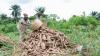 New initiative set to transform Osun farmers into agribusiness entrepreneurs