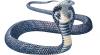 Lifestyle Popular Science It took half a century to solve the mystery of Missouri’s deadly snake panic