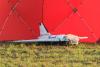 Minsk Reports Transferring Data on Transit Drones from Russia to Poland