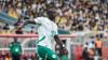World Cup Qualifying - Nigeria, Cameroon on brink of exit; Senegal take control