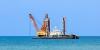 Trump’s Deep-Sea Mining Push Gains Momentum with Bahrain Backing
