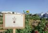 Metaxa Hospitality Group Sets Sustainability Milestone with Regenerative Agriculture Certification