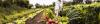 Seeds of change: Can Europe’s organic farming shape the future of food?