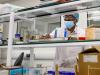 Zimbabwe, Zambia: Solar energy for critical healthcare