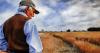 ‘Farmaggedon’: Government shutdown deepens agriculture sector disaster