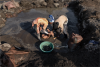 Can the EU battery passport stop child mining in the Democratic Republic of Congo?