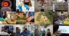 Research Advancing Kentucky: How NSF, DOD, DOE funding fuels scientific innovation