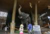 Mali gets new home at National Museum