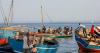 Mozambique forces killed 16 fishermen: conflict monitor