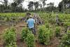 Colombia’s Coca Canyon Becomes a Crucible for Petro’s Peace Plan and Washington’s Patience