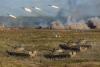 Putting NATO on edge: Russia says Ukraine peace talks frozen as NATO bolsters defences