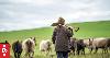 Agriculture education leader slams govt's cuts