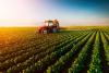 Agricultural production in Azerbaijan decreased by nearly 1% this year