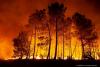 Over 50 firefighters battle expanding wildfire in Bulgaria’s Rila Monastery Park