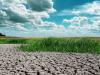 Climate action seems slow, yet energy change is racing ahead