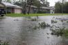 Rice University study finds income disparities in natural disaster preparedness