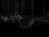 Science The Brighter Side of News Cosmic web reveals tiny magnetic fields from the dawn of time