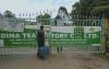 Agri-lobby to train 50,000 smallholder tea farmers in Mt Kenya