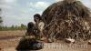 Serial violence in Gasorwe : one family wiped out, another hit by flames