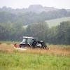 How mowing less lets flowers bloom along Austria's 'Green Belt'